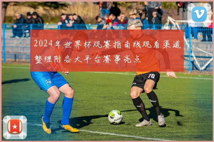 2024年世界杯观赛指南线观看渠道整理附各大平台赛事亮点