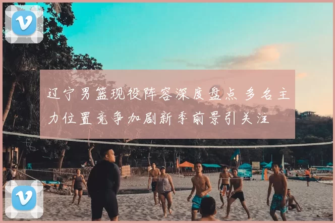 辽宁男篮现役阵容深度盘点 多名主力位置竞争加剧新季前景引关注